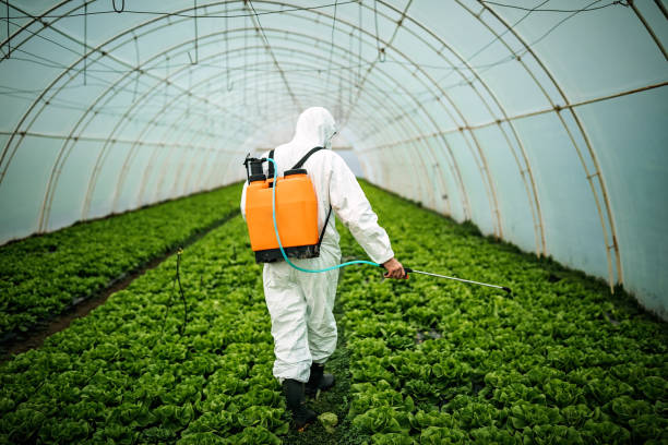 Best Pest Control Near Me  in Breckinridge Center, KY