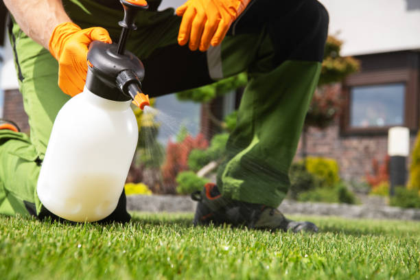 Best Wasp Removal Services  in Breckinridge Center, KY