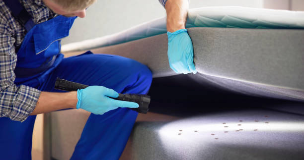 Best Pest Removal Services  in Breckinridge Center, KY
