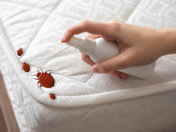 Best Pest Control Near Me  in Breckinridge Center, KY