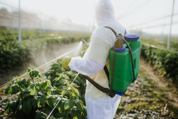 Reliable Breckinridge Center, KY Pest Control Solutions